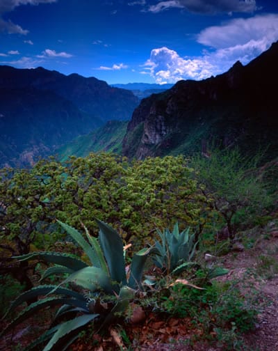 barranca
